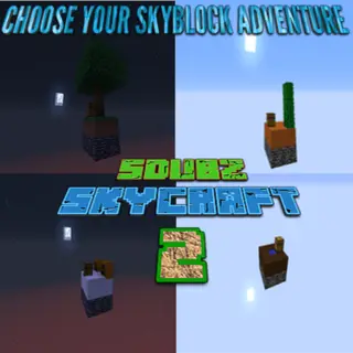 SDUBZSKYCRAFT 2