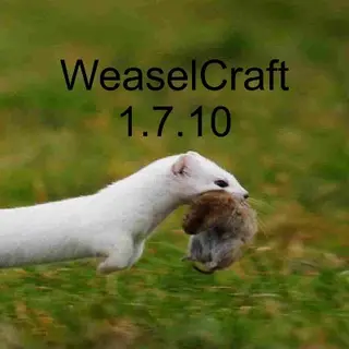 Weasel Craft