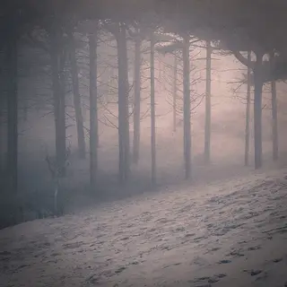 From The Dust