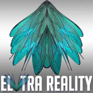 ELYTRA REALITY 0001