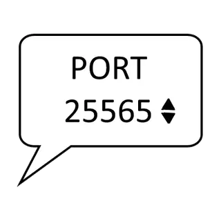 Custom LAN Ports