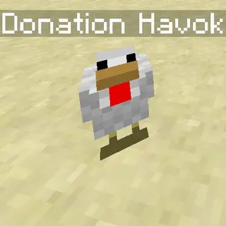 DonationHavok
