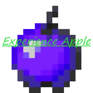 Experience Apple2