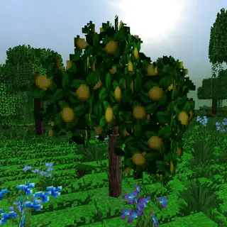 Dynamic Trees - Heat and Climate Compat