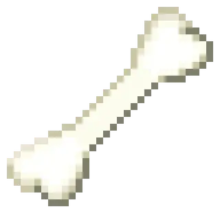 Bone Gear