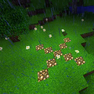 Exact Spawn Simple / exactspawnsimple.