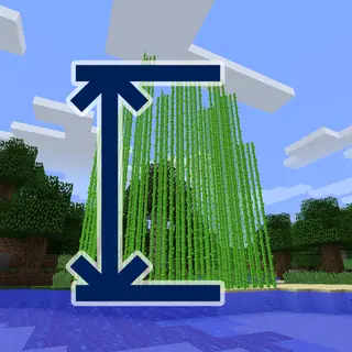 Configurable Cane