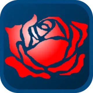 Arch Rose
