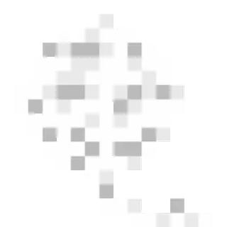 Wool
