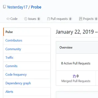 Probe