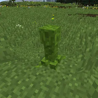 Organic Creepers