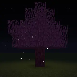 Light The Night