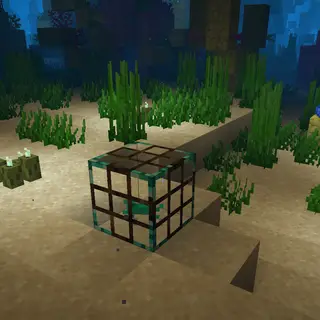 Fish Traps