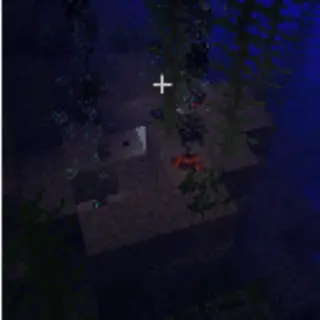 Mineral Collector