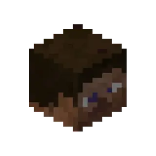 Steves