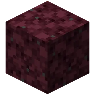 Nethercraft Classic