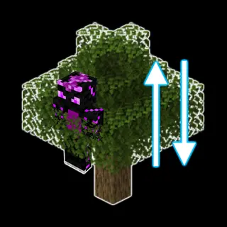 TreeClimbing