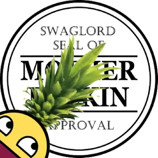 SwaggaMine - Craft Of Modded