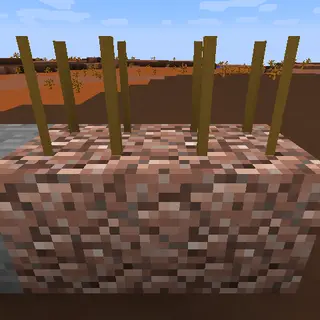 Ic2c Custom Soils
