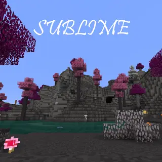 Sublime