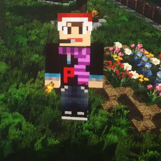 fly mod 3d