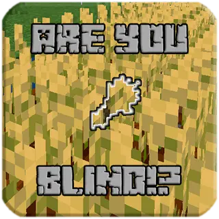 Are You Blind!?