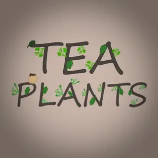 Tea Plants