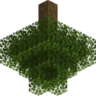 Random Camera