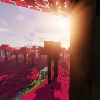 Poronium Biome
