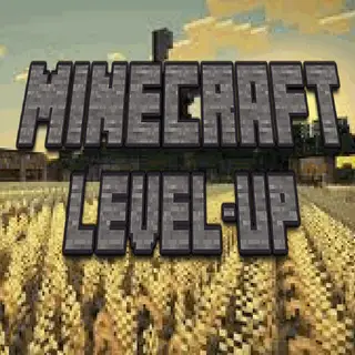 MC Level Up