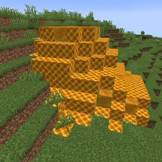 The Hive! More Bee Content