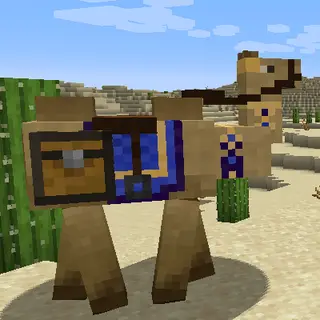 Camels
