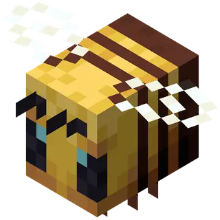 Beehive