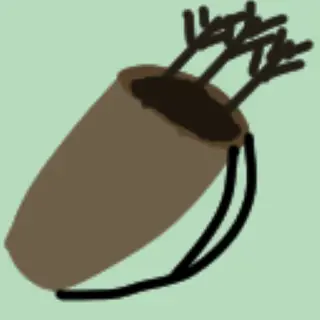 Quiver