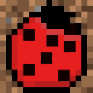 Insects
