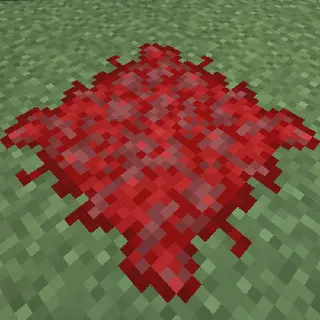 CTPack