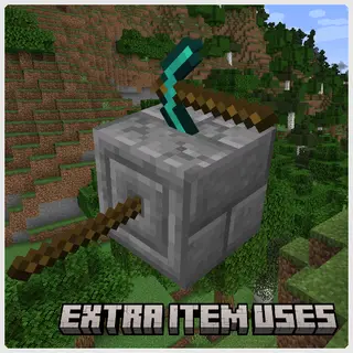 Extra Item Uses