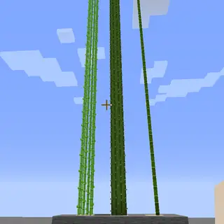 TallTallCane Forge