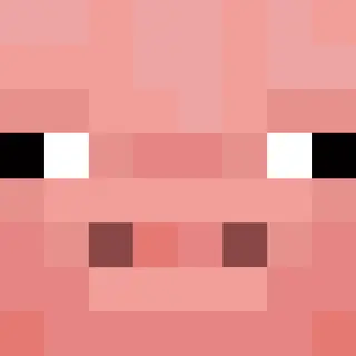 DP's Piggy Pack