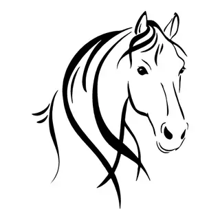 Simply Equine