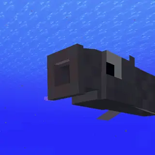 Pogfish