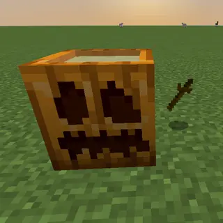 Cucurbita