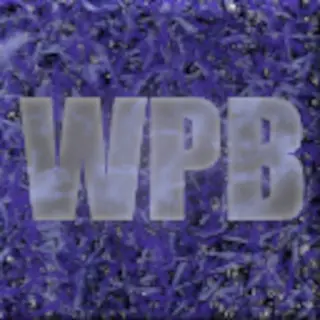 Wither-Proof Block (Fabric/Forge)