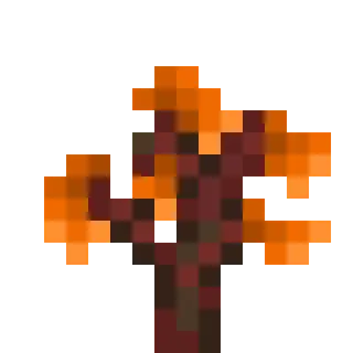 Spooky Autumn Forests