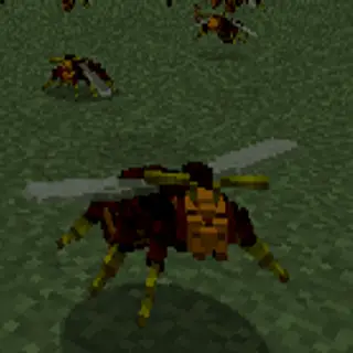 Hornets