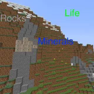Rocks, Minerals and Life