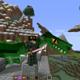 A Dragon's World