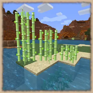 Retro Sugar Cane