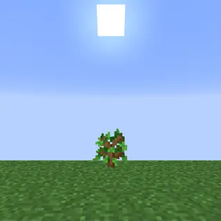 HT's TreePlant