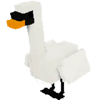 Swans